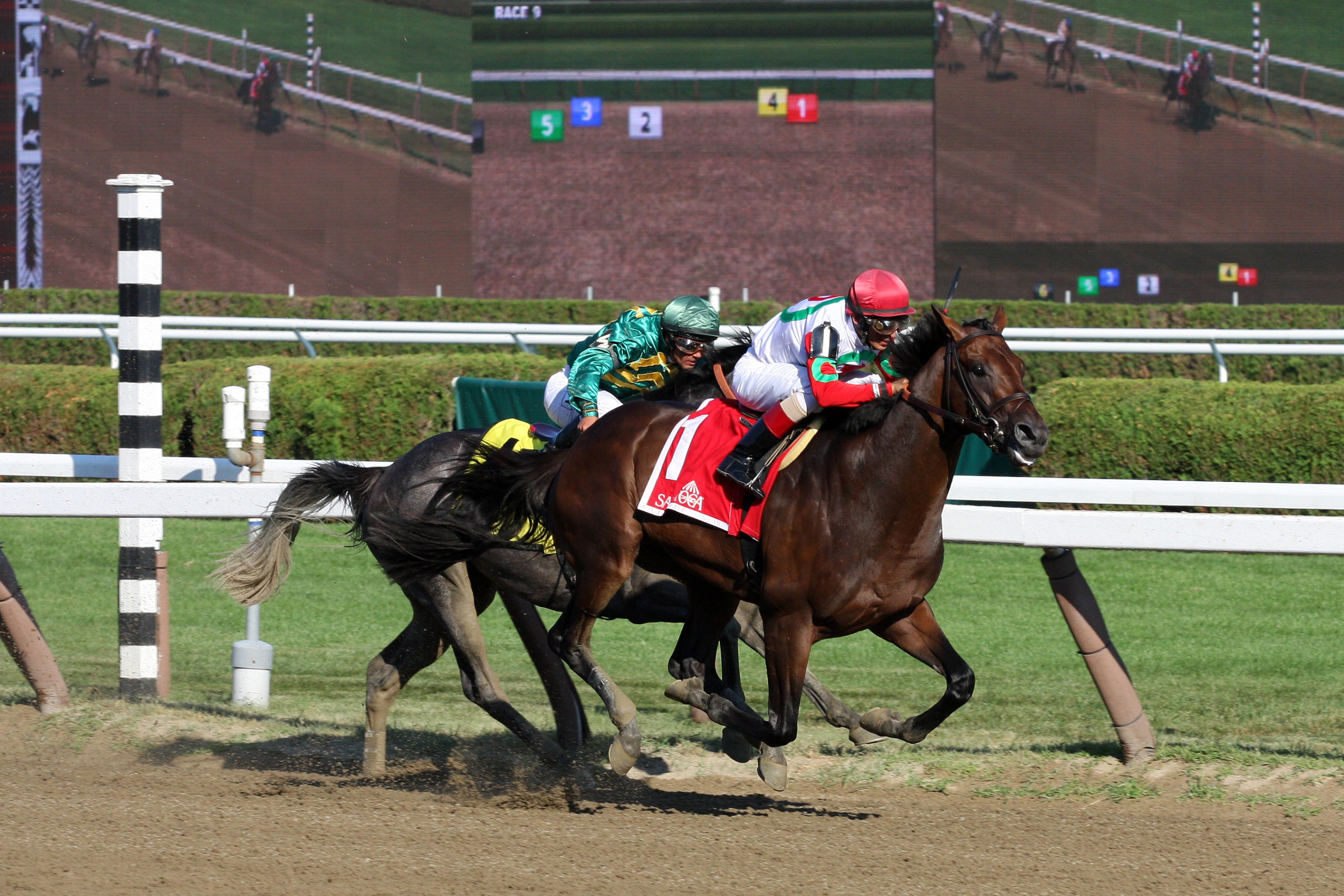 Connect wins Curlin Stakes
