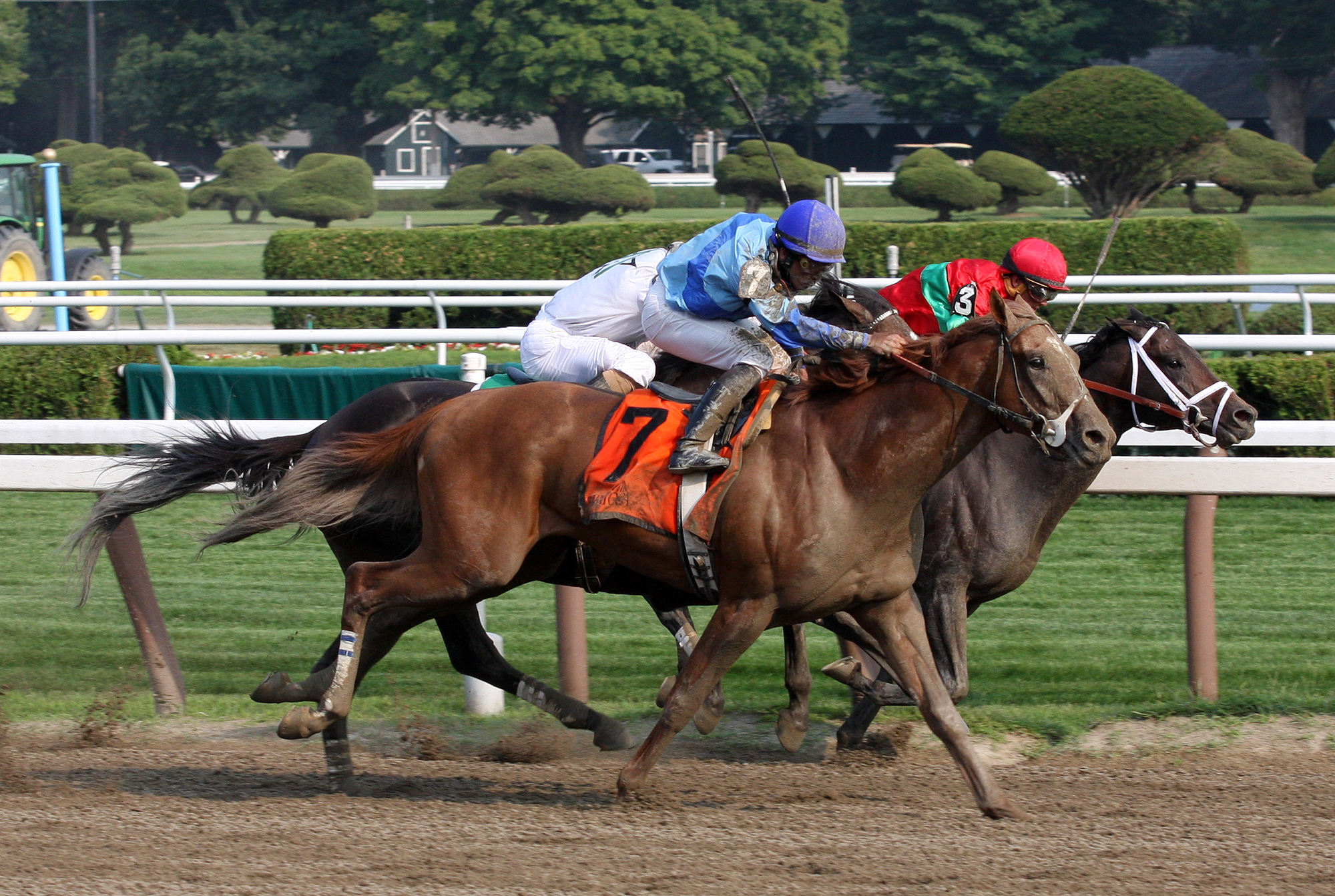 Curlin Stakes 2014